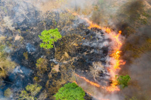 鸟瞰图附近的金边金边野生动物保护区在柬埔寨北部。在旱季，数以百计的火灾肆虐全国，许多是由伐木工和农民引起的。