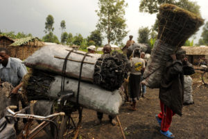 刚果民主共和国的木炭经销商在北基武省的北基伍省，其中大部分木炭由Virunga国家公园的树木制作。