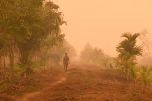 在印度尼西亚苏门答腊岛的一个油棕种植园，一名村民走过燃烧的泥炭地的烟雾。