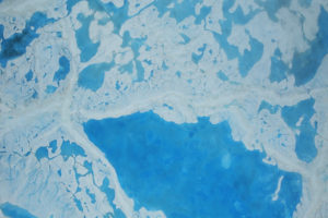 2016年7月，北极海冰顶部的融水。