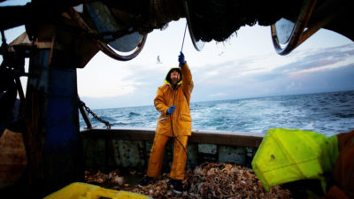渔夫乘坐法国拖网渔船通过捕获的比目鱼和鲭鱼排序。