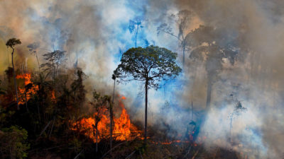 8月15日，在巴西帕拉州的亚马逊的非法点燃大火中烟雾升起。