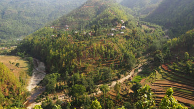 树木生长在尼泊尔古米地区以前的梯田上。