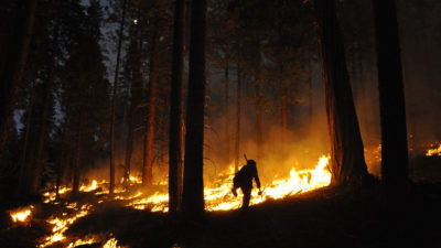 森林经理在加利福尼亚州的斯坦尼斯劳斯国家森林中设定了这一规定的烧伤。