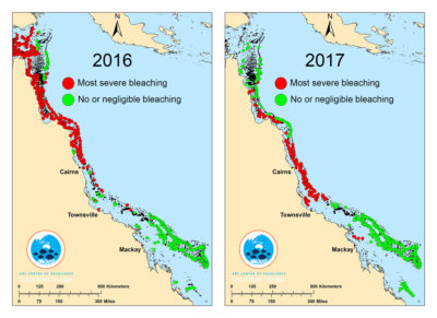 2016年至2017年，由于海洋温度升高，近三分之二的大堡礁经历了白化。