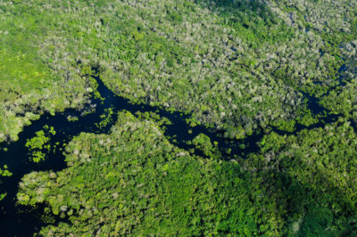 Manaus附近的亚马逊雨林，巴西亚马逊巴西州的首都。