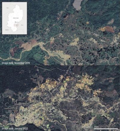 卫星图像显示了2019年11月（上图）至2022年1月（下图）之间在卡钦州Nam San Yang的黄金采矿的影响。当地人说，2021政变加速采矿。