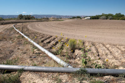 为了节约用水，大山谷的一些农民已经关闭了他们的灌溉管道，让他们的田地落实以换取货币补偿。