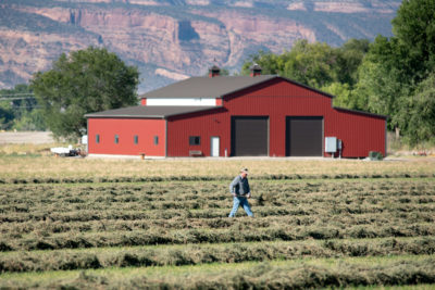科罗拉多州大交界处的农民们，他的苜蓿田地饰有他的苜蓿领域，这是从科罗拉多河转移的水灌溉。为了减少水资料，有些农民将落下田野以换取货币赔偿。