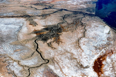 科罗拉多河曾经流入加利福尼亚湾(右上)，但是今天河流的三角洲大部分已经干涸。没有了河水及其营养负荷，墨西哥湾的海洋生产力下降了高达95%。
