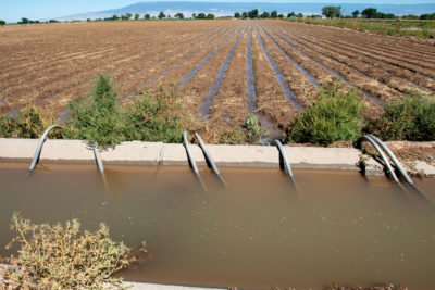 科罗拉多大峡谷使用洪水灌溉的田地。这是该地区最便宜、最常见的灌溉形式，但也是效率最低的，比滴灌或洒水器使用更多的水。