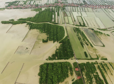 在爪哇的德马克区，由于红树林的消失，7平方英里的土地被永久淹没。