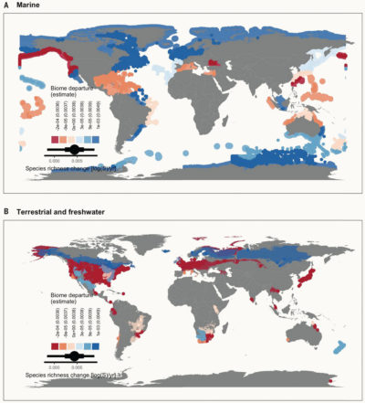 生态系统物种丰富的变化，蓝色代表在多样性上增加的领域，红色和粉红色显示正在遭受下降的地区。
