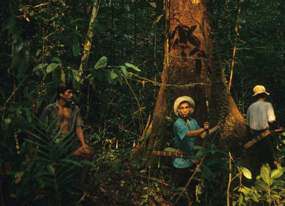 上世纪90年代初，肯亚达亚克土著群体的成员在西婆罗洲进行森林调查。