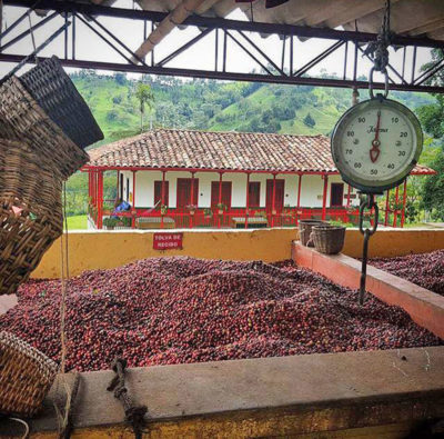 Finca El Ocaso的一个咖啡称量站。咖啡的价格已经降到了如此之低的水平，以至于这个家庭经营的农场开始招待游客来赚取额外的收入。