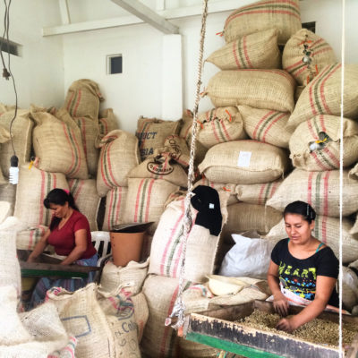 在哥伦比亚萨伦托附近的Finca El Ocaso农场，妇女们在挑选咖啡豆。