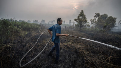 一名志愿者在印度尼西亚卡利曼丹中部帕兰卡·拉亚（Palangka Raya）的泥炭地地区灭火。