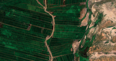 一年的进步（2018-2019）在大绿墙倡议中，一个巨大的树木种植倡议，旨在阻止非洲萨哈拉州萨赫勒地区的荒漠化3月。在一个受干旱，粮食稀缺和气候移民的地区影响的地区，该项目旨在通过种植5,000英里的树线（例如毛里塔尼亚和塞内加尔边境）这样的部分，将2030年恢复了2030英亩的退化土地。