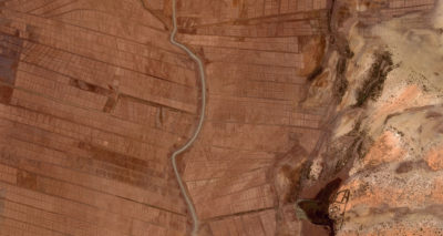 一年的进步（2018-2019）在大绿墙倡议中，一个巨大的树木种植倡议，旨在阻止非洲萨哈拉州萨赫勒地区的荒漠化3月。在一个受干旱，粮食稀缺和气候移民的地区影响的地区，该项目旨在通过种植5,000英里的树线（例如毛里塔尼亚和塞内加尔边境）这样的部分，将2030年恢复了2030英亩的退化土地。