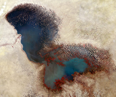 1973年（左）和2017年（右）的乍得湖的卫星图像显示了湖泊的收缩。植被覆盖的区域以红色阴影。