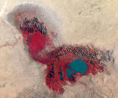 1973年（左）和2017年（右）的乍得湖的卫星图像显示了湖泊的收缩。植被覆盖的区域以红色阴影。