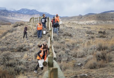 志愿者在怀俄明中修改电线栅栏，以允许野生动物通过。
