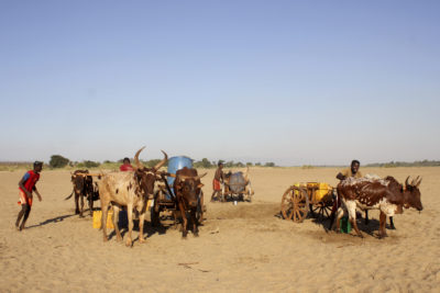 研究人员说，在马达加斯加挖水。研究人员说，不良的水基础设施而不是干旱，是该国粮食危机的主要罪魁祸首。