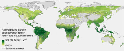 在森林和大草原生物群落的自然再生森林中，每公顷碳积累率，在每公顷的公吨碳中碳积累率。