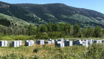 每年夏天，Dennis Cox将592个荨麻疹搬入犹他州的国家森林，包括在Uinta-Wasatch-Cache国家森林中。