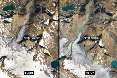 1999年8月和2021年8月，在加拿大班夫国家公园的佩托冰川。