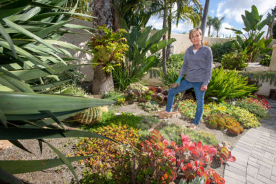 梅兰妮·巴克（Melanie Buck）倾向于在加利福尼亚恩西尼塔斯（Encinitas）的院子里抛弃植物。