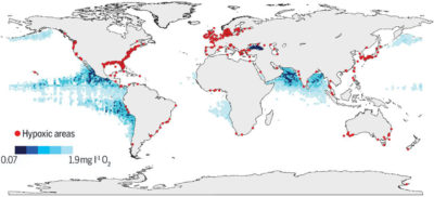 一张地图显示沿海网站，其中人为营养素如来自肥料的氮气，在水中加剧或引起低氧水平，导致死区（红色点）。 