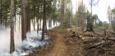 规定的烧伤，旨在清除燃料野火的死树，于2018年5月在塞拉国家森林中闷烧的野火。 