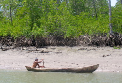 一个船夫在鲁菲吉三角洲的红树林上划船。