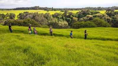 一位公园管理员带领徒步穿越夏威夷火山国家公园ʻi Kahuku单元。