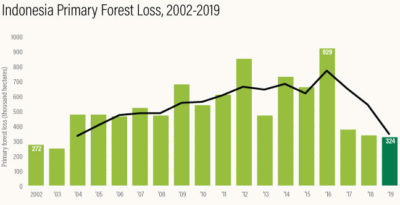 在过去三年中，印度尼西亚的主要森林损失有所下降。