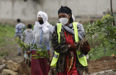 妇女去年6月参加了亚的斯亚贝巴的埃塞俄比亚的大规模树木竞争。埃塞俄比亚旨在在三个月内植入50亿苗。