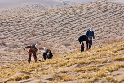 2021年3月12日中国植树节当天，甘肃省志愿者在巴丹吉林沙漠边缘植树。
