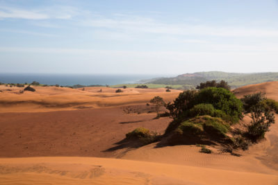沿着Pondoland海岸延伸的沙丘和长达两公里的内陆地区被认为拥有世界上最丰富的钛储备。