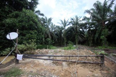Sugai Bekelit的村民们阻止了这条路拒绝了马来西亚棕榈油公司的土地。